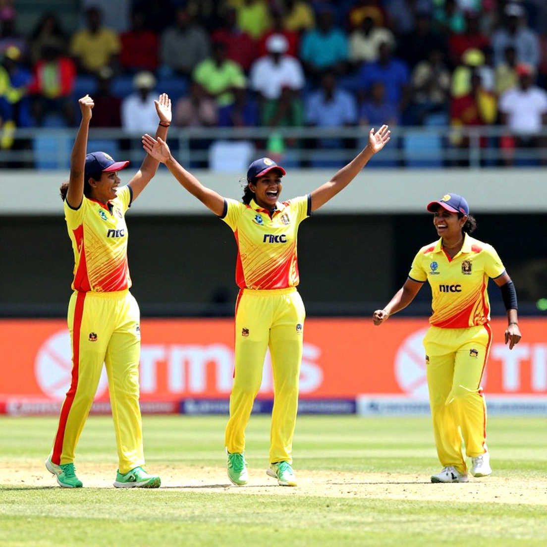 Ishan Kishan Ruled Out of Wellington T20I; Kumar Kushagra Retained Ishan Kishan Ruled Out of Wellington T20I; Kumar Kushagra Retained