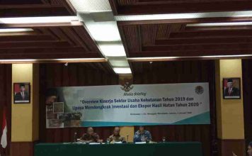 OVERVIEW KINERJA SEKTOR USAHA KEHUTANAN TAHUN 2019 DAN UPAYA MENDONGKRAK INVESTASI DAN EKSPOR HASIL HUTAN TAHUN 2020