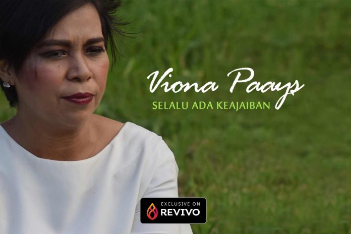 Image-Blog-Viona-Paays