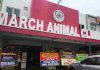 Grand Opening “March Animal Clinic”