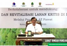 Pemerintah Republik Indonesia, AstraZeneca dan LSM berkolaborasi Menanam dan Mengelola 20 juta pohon di Indonesia