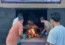 Sepanjang Januari – Oktober 2021, Karantina Merauke Sudah Lakukan 50 Kali Pemusnahan