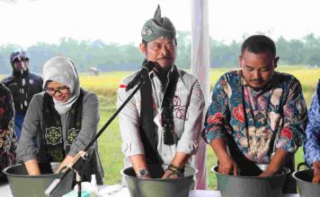 Mentan SYL Panen Padi Aplikasi Biosaka di Blitar, Produktivitas 8,9 Ton